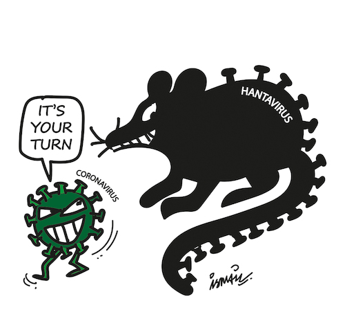 Cartoon: Hantavirus (medium) by ismail dogan tagged hantavirus