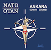 Cartoon: NATO Summit (small) by ismail dogan tagged nato,summit
