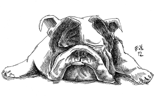 Cartoon: eskiz-sketch (medium) by emre yilmaz tagged eskiz,sketch,dog,bulldog
