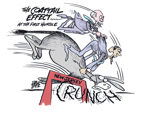 Cartoon: ELECTION (medium) by barbeefish tagged reality