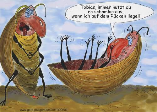 Cartoon: Pech für Frau Käfer (medium) by boogieplayer tagged käferpech