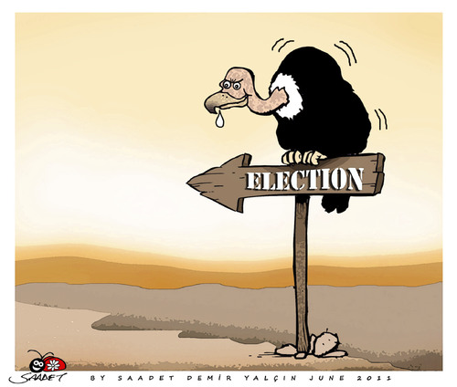 Cartoon: Election... (medium) by saadet demir yalcin tagged saadet,sdy,turkey,elections