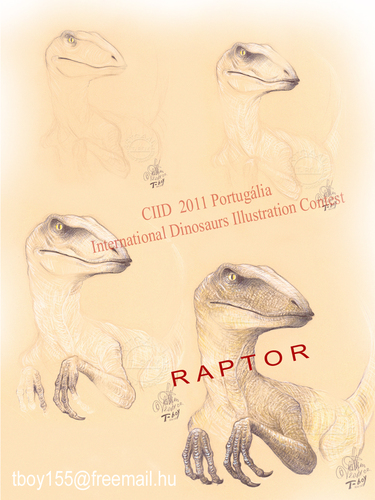 Cartoon: RAPTOR (medium) by T-BOY tagged raptor