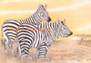 Cartoon: EVOLUTION  ZEBRA TEDDY (small) by T-BOY tagged evolution zebra teddy