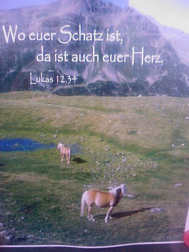 Cartoon: Wie ein letzter Gruß (medium) by DanielArnold tagged haflinger,pferd,paar,südtirol,alpen,lukas,bibel,trauer,paradies