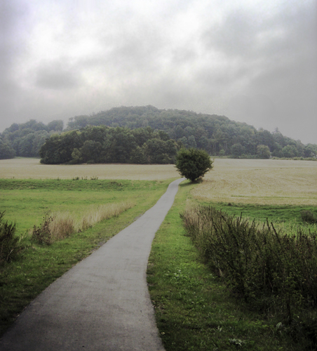 Cartoon: The Path (medium) by LunaticArt tagged tree,baum,natur,landscape,landschaft