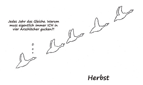 Cartoon: HERBST (medium) by Oliver Kock tagged herbst,zugvögel,arschloch,unzufriedenheit,cartoon,nick,blitzgarden
