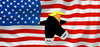 Cartoon: TRUMPEL (small) by Oliver Kock tagged usa,us,wahlen,trump,clinton,pest,cholera,fettnapf,sexist,polit,clown,gefahr,amerika,demokratie