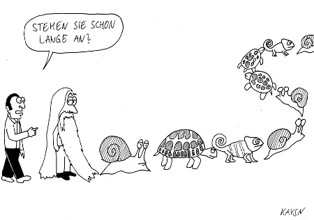 Cartoon: Langsame Schlage (medium) by KAYSN tagged schlange,tiere,bart,langsam,schildkröte,schnecke,chamäleon