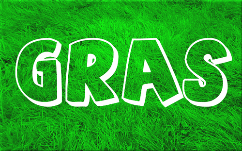 Cartoon: GRAS (medium) by lesemaus tagged gras,grün