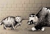 Cartoon: cat (small) by oguzgurel tagged humor