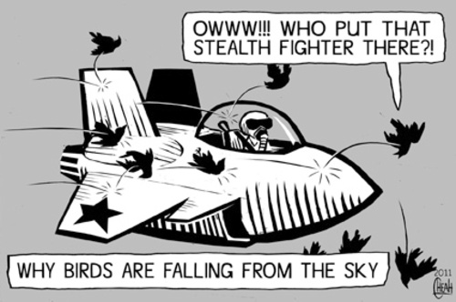 Cartoon: Stealth bird (medium) by sinann tagged stealth,fighter,birds,falling