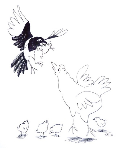 Cartoon: Elster raubt Küken (medium) by gothiel tagged elster,huhn,küken,glucke,diebische,raubt,raubvogel,frisst,schnabel,scharf,hühner