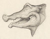 Cartoon: Croc 02 (small) by vokoban tagged pen,and,ink,doodle,drawing,scribble,pencil