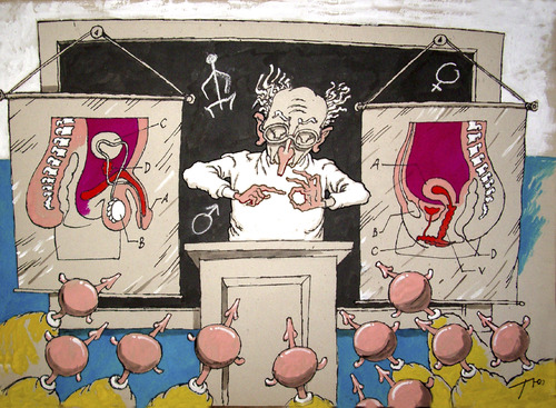 Cartoon: Education (medium) by tunin-s tagged snandards,of,educations