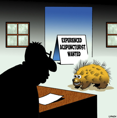 Cartoon: Acupuncture (medium) by toons tagged porcupine,hedgehog,acupuncture,animals,employment,needles,porcupine,hedgehog,acupuncture,animals,employment,needles