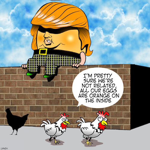 Cartoon: Agent orange (medium) by toons tagged donald,trump,humpty,dumpty,eggs,chickens,donald,trump,humpty,dumpty,eggs,chickens
