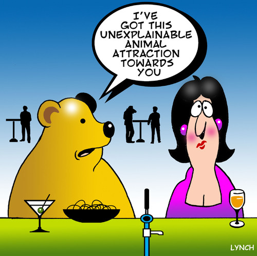 Cartoon: animal magnetism (medium) by toons tagged bears,dating,online,relationships,bars,pub,cocktails,drinking,pick,up,line,chatting,animal,magnetism,love