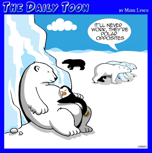 Cartoon: Bipolar (medium) by toons tagged polar,opposites,bears,penguins,north,pole,polar,opposites,bears,penguins,north,pole