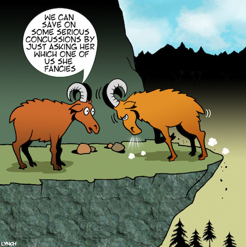 Cartoon: Concussions (medium) by toons tagged concussion,mountain,goats,butting,heads,romance,animals,concussion,mountain,goats,butting,heads,romance,animals