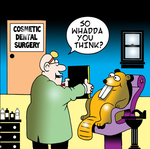 Cartoon: cosmetic dental surgery (medium) by toons tagged dentist,cosmetic,surgery,beaver,surgeon,doctor,implants,collegen,plastic,false,teeth,capped,buck,botox