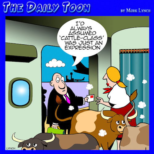 Cartoon: Economy class travel (medium) by toons tagged coach,class,cattle,aviation,air,travel,cows,coach,class,cattle,aviation,air,travel,cows