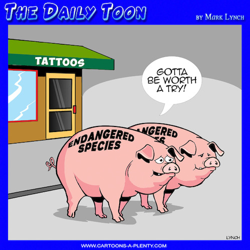 Endangered species Endangered species