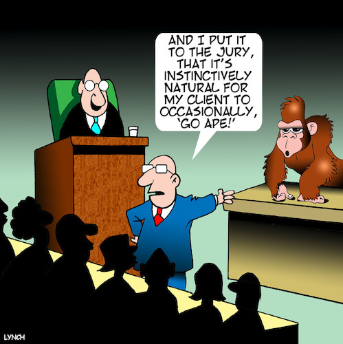 Cartoon: Going Ape (medium) by toons tagged apes,lawyers,courtroom,law,of,the,jungle,jury,animals,nature,monkees,apes,lawyers,courtroom,law,of,the,jungle,jury,animals,nature,monkees