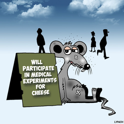 Cartoon: Medical experiments (medium) by toons tagged rats,medical,experiments,lab