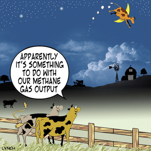 Cartoon: methane (medium) by toons tagged methane,cow,over,the,moon,fairy,tales,cows