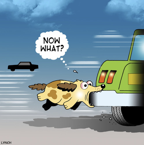 Cartoon: Now what (medium) by toons tagged dogs,cars,chasing,dog