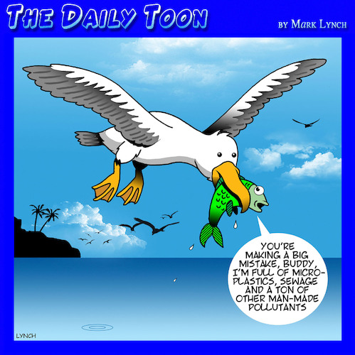 Cartoon: Ocean pollution (medium) by toons tagged pollution,seagulls,fish,plastics,pollution,seagulls,fish,plastics