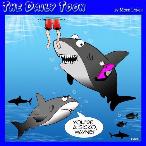 Cartoon: Photographing lunch (medium) by toons tagged selfies,sharks,selfies,sharks