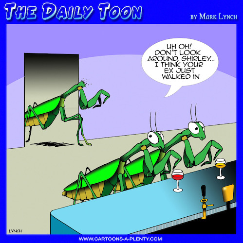 Praying Mantis