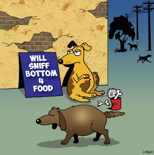 Cartoon: Sniff for food (medium) by toons tagged dogs,begging,unhygienic,food,broke,poor,dog,habits,dogs,begging,unhygienic,food,broke,poor,dog,habits