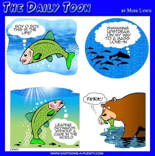 Cartoon: Spawning (medium) by toons tagged salmon,hunting,bears,swimming,upstream,spawning,salmon,hunting,bears,swimming,upstream,spawning