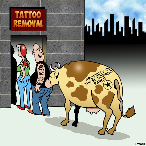 Cartoon: Tattoo removal (medium) by toons tagged tattoo,removal,branding,iron,cattle,tattoos,animals,tattoo,removal,branding,iron,cattle,tattoos,animals