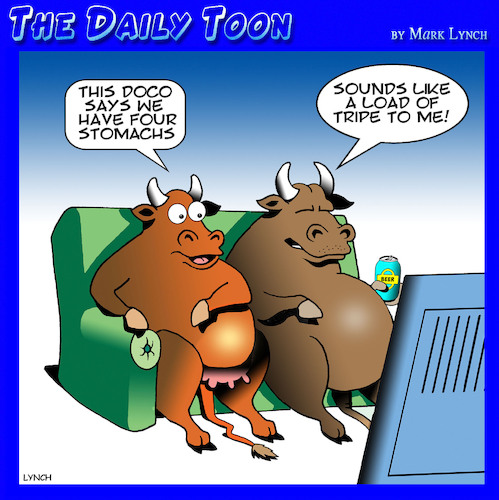 Cartoon: Tripe (medium) by toons tagged cow,stomach,tripe,offal,cow,stomach,tripe,offal