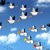 Cartoon: flying by (small) by toons tagged angels,heaven,birds,flying,in,formation,geese,fly,south,for,the,winter,god,wings,religion