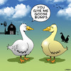 Cartoon: Goose bumps (small) by toons tagged geese,goose,bumps,love,excitement,sex,dating,farms,birds,ducks,farmyard