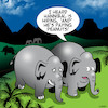 Cartoon: Hannibal (small) by toons tagged pays,peanuts,elephants,hannibal