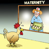 Cartoon: Nervous dad (small) by toons tagged chickens,maternity,eggs,babies,fatherhood,dads