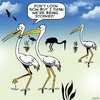 Cartoon: Storked (small) by toons tagged stalking,followed,storks,birds,romance