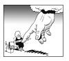 Cartoon: the manicure (small) by toons tagged manicure,god,heaven,beauty