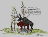 Cartoon: Darwin Fail (small) by Toonstalk tagged darwin moose statue fail stupid idiot horney mating nature