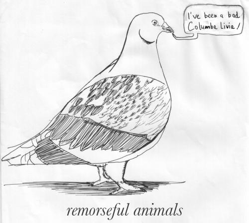 Cartoon: Remorseful animals (medium) by prinzparadox tagged pidgeon,taube,animal,tier,conflict,nature,mankind,people