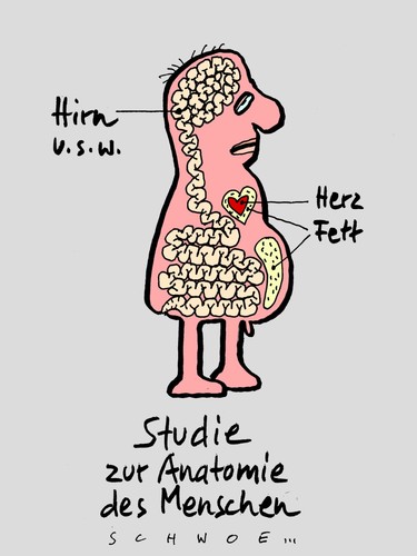 Cartoon: Hirn usw. (medium) by schwoe tagged anatomie,mensch,hirn,magen,darm,verdauung,ganzheitliche,medizin