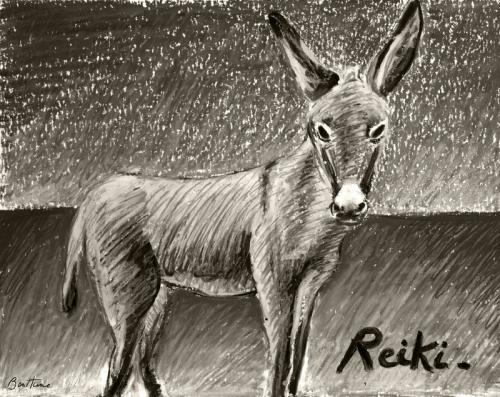 Cartoon: Reiki (medium) by BenHeine tagged ane,donkey,animal,ben,heine,reiki,horse,cheval,countryside,campagne,braives,belgium,sepia,monochrome,champs,field,peaceful,nature,tame,dompter,amadouer,oil,pastel,paturer,grass,horizon,composition,drawing,illustration,earth,farm,ferme,country,croix,de,sai
