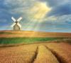 Cartoon: The Magic Windmill (small) by BenHeine tagged windmill moulin vent ben heine countryside field ble summer light luminosity magic lumiere campagne bread pain corn champs sun sunrays rayons soleil perspective horizon traces tractor farm ferme fermier farmer peaceful nos poem poet peter quinn
