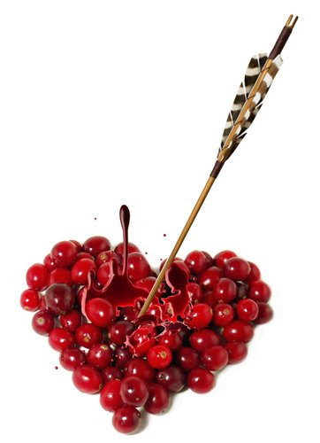 Cartoon: Cranberries! (medium) by willemrasingart tagged cuisine,haute